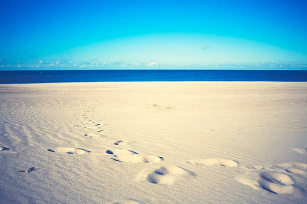 istock Silent beach at the Baltic Sea 187337665