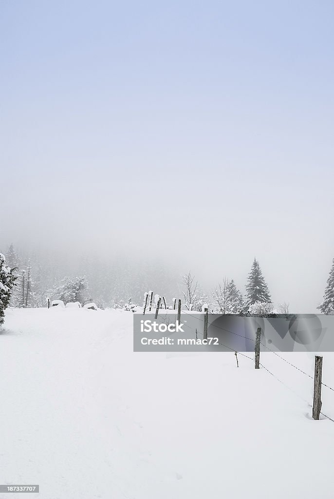 Paysage d'hiver avec la neige et arbres - Photo de Alpes européennes libre de droits