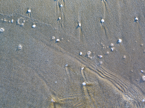 Sea sand with shells and Water.