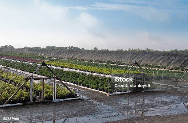 Photo libre de droit de Commercial Garderie Extérieure banque d'images et plus d'images libres de droit de Affaires - Affaires, Agriculture, Beauté de la nature