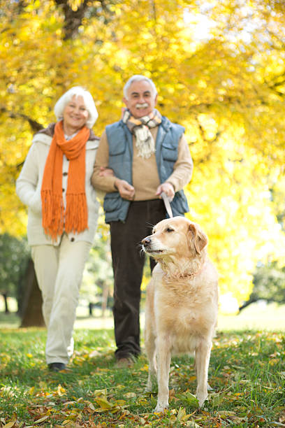 istock Senior couple walking their dog in park. 187337980