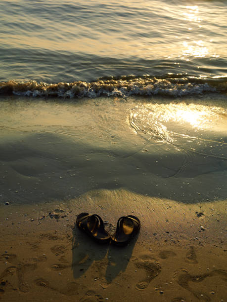 istock Sandal on beach beach during the sunset 1873382934