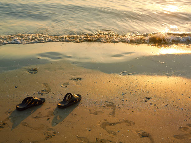 istock Sandal on beach beach during the sunset 1873382935