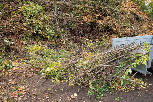 istock Trailer with branches at the compost depot, Norway 187340038