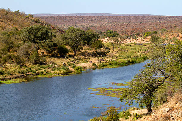 landschaft foto von river fließen im krüger national park - kruger national park national park southern africa africa stock-fotos und bilder