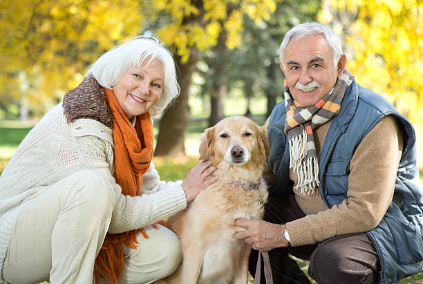 istock Senior couple walking their dog in park. 187341090