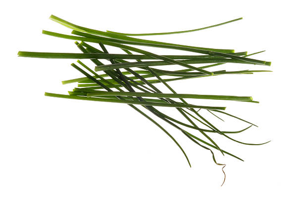 Schnittlauch, Chives Chives on a white background. schnittlauch stock pictures, royalty-free photos & images