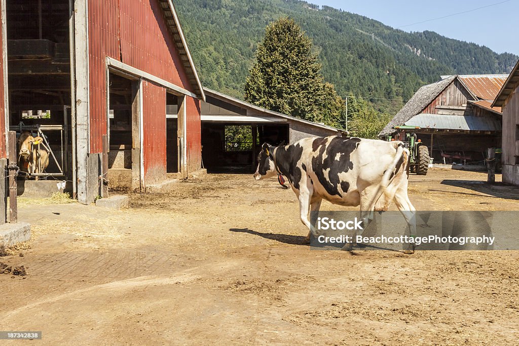 O Celeiro - Royalty-free Agricultura Foto de stock