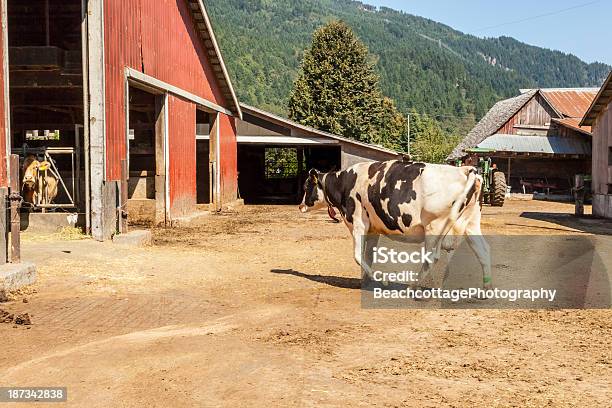 O Celeiro - Fotografias de stock e mais imagens de Agricultura - Agricultura, Animal, Animal Doméstico