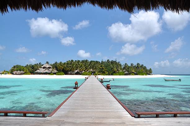 istock Tropical Resort Maldives 187342956