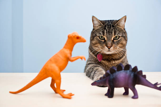 istock Cat playing with kids toys 187342977