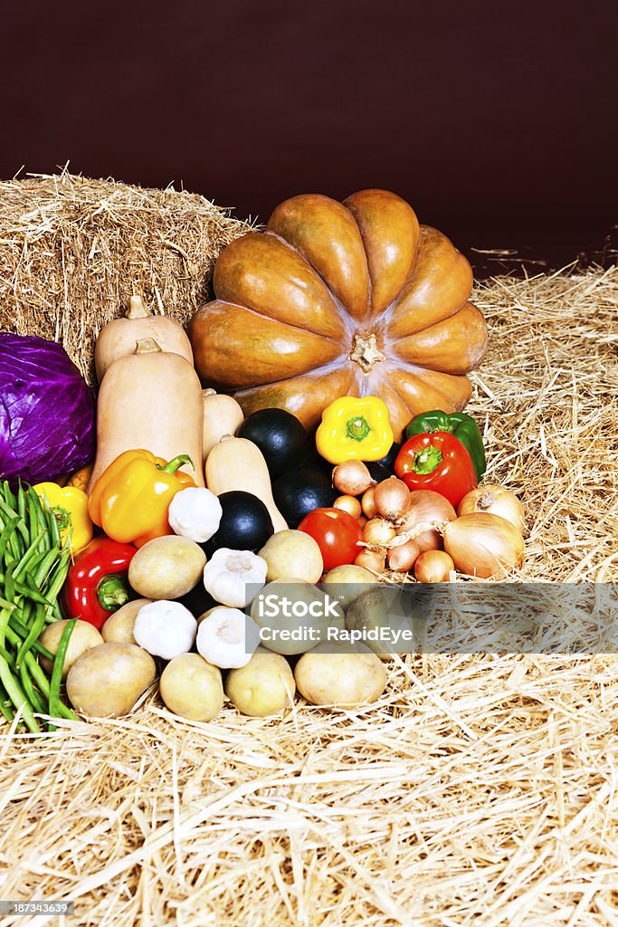 Frischen Herbst Gemüse warten auf Stroh im farmers market - Lizenzfrei Agrarbetrieb Stock-Foto