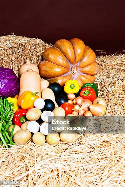 Frischen Herbst Gemüse Warten Auf Stroh Im Farmers Market Stockfoto und mehr Bilder von Agrarbetrieb