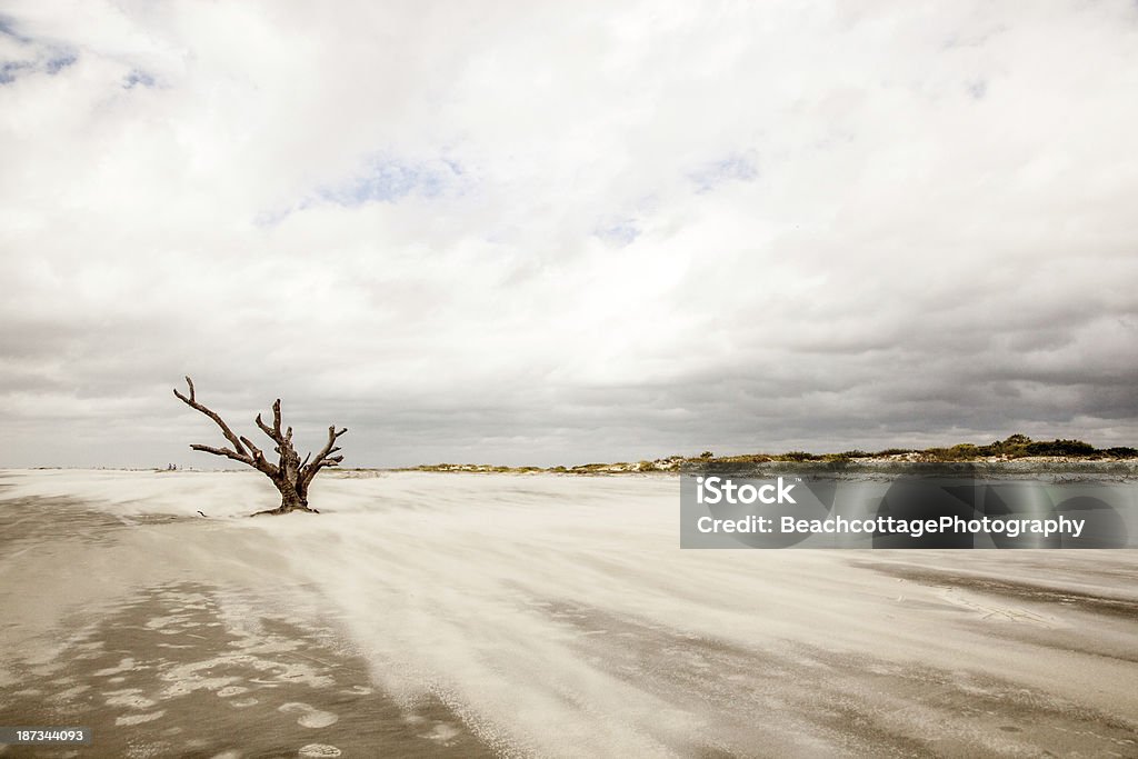 Soffiare sabbia - Foto stock royalty-free di Uragano