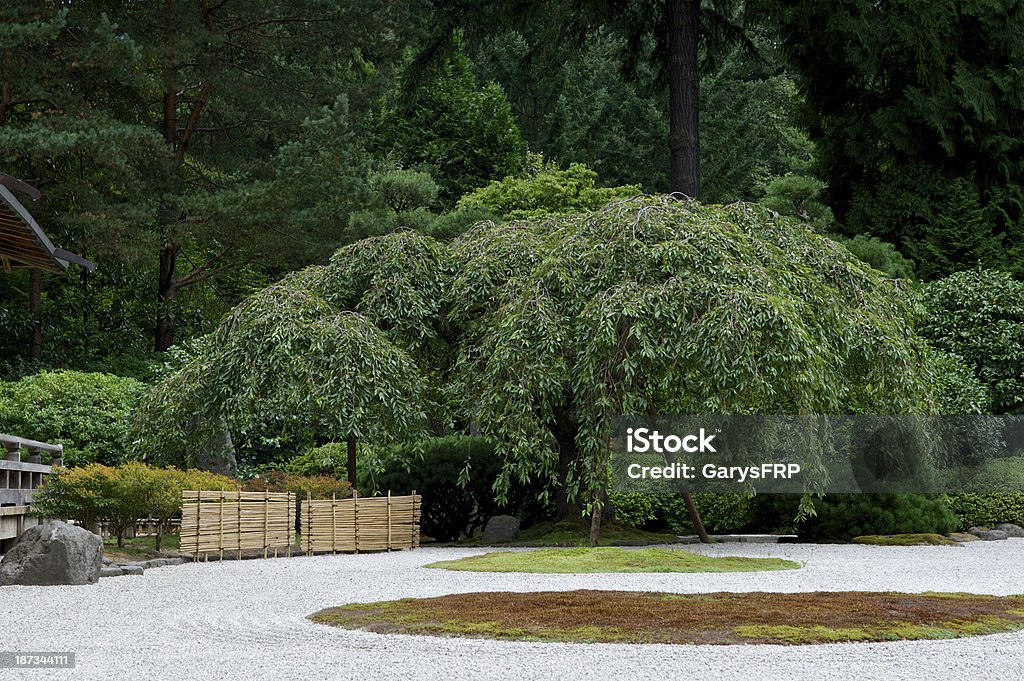 Японский сад на плоской подошве деревьев подлесок Портленд Орегон - Стоковые фото Без людей роялти-фри