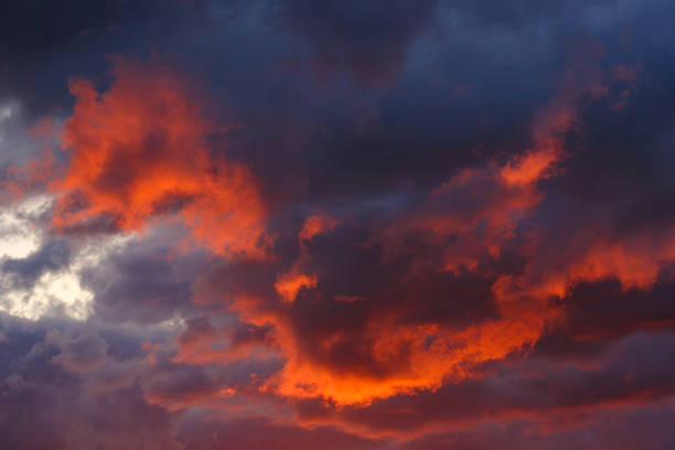 istock A Burst of Reds 1873442447