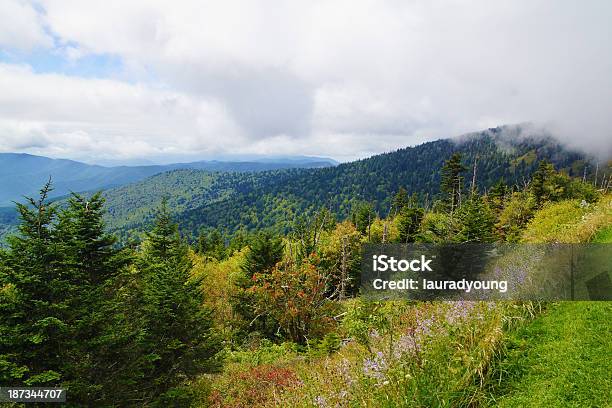 Clingmans Dome Vista Del Parque Nacional De Las Montañas Great Smoky Foto de stock y más banco de imágenes de Aire libre