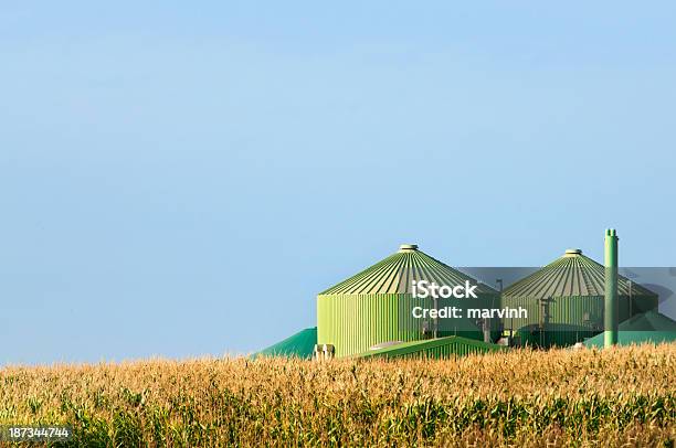 Pflanze Hinter Corn Field Biogas Fahren Im Sommer Stockfoto und mehr Bilder von Biogas - Biogas, Biomasse - Erneuerbarkeit, Bio-Treibstoff