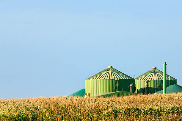 Biogas plant behind corn field in summer. stock photo