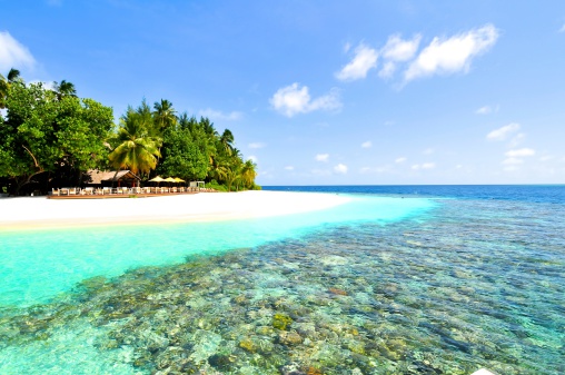 Arenas blancas de las Islas Maldivas Tropical photo