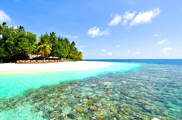 tropical areia branca maldivas - male imagens e fotografias de stock