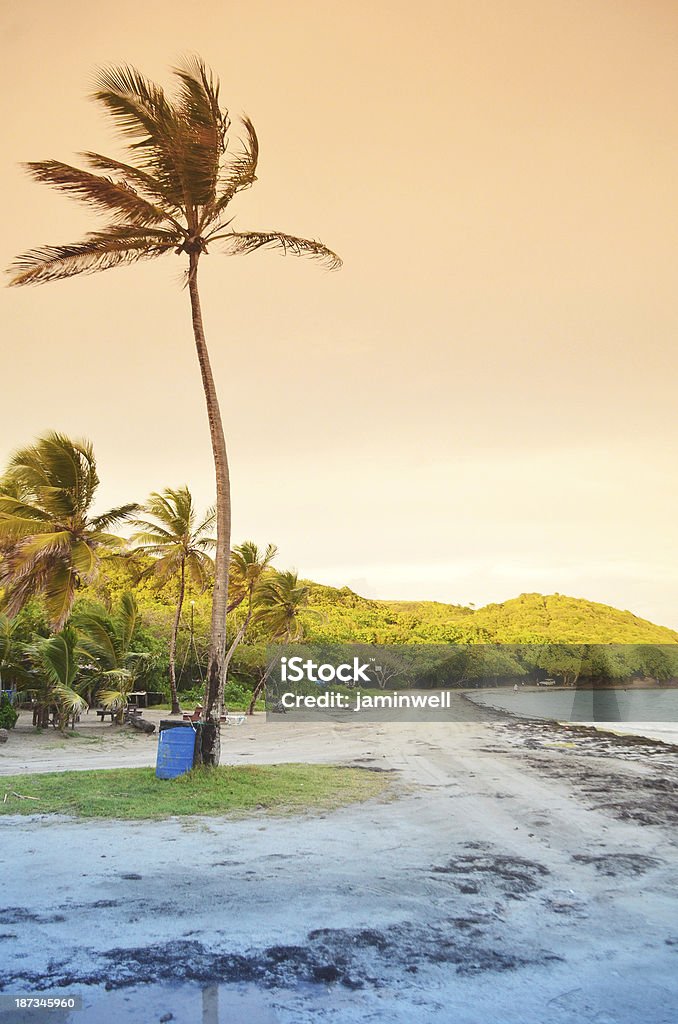 Egzotyczne karaibska Plaża - Zbiór zdjęć royalty-free (Bahamy)