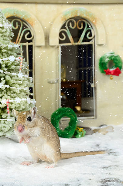 istock Gerbil's House at Christmas 187345993