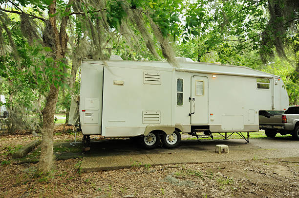 istock Fifth wheel rv in moss covered campsite 187346297