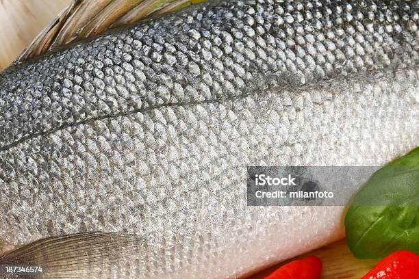 Róbalo Foto de stock y más banco de imágenes de Aleta - Parte del cuerpo animal - Aleta - Parte del cuerpo animal, Alimento, Animal