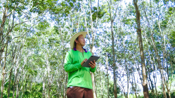 istock Asian rubber farmer  checking quality of rubber liquid by tablet technology  from  rubber plantation ,technology agricultural rubber product Concept. 1873475396