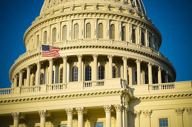 istock The Capitol Building Dome in Washington DC 187347656