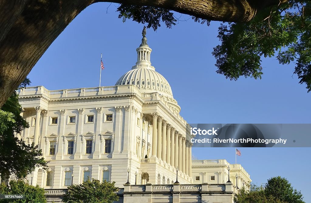 O Capitol - Foto de stock de Arquitetura royalty-free