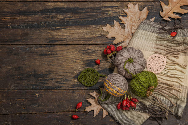 istock Autumn cozy mood composition. Crocheted pumpkins, handmade, fall hobby concept 1873476951