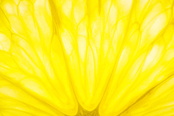 XXL Lemon Macro Background stock photo