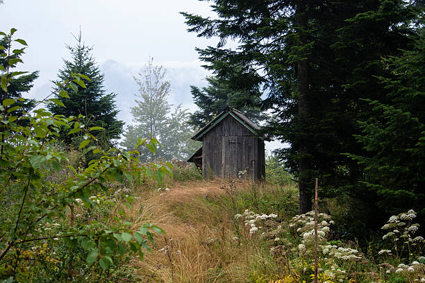 istock Barn middle of the forest 187349199