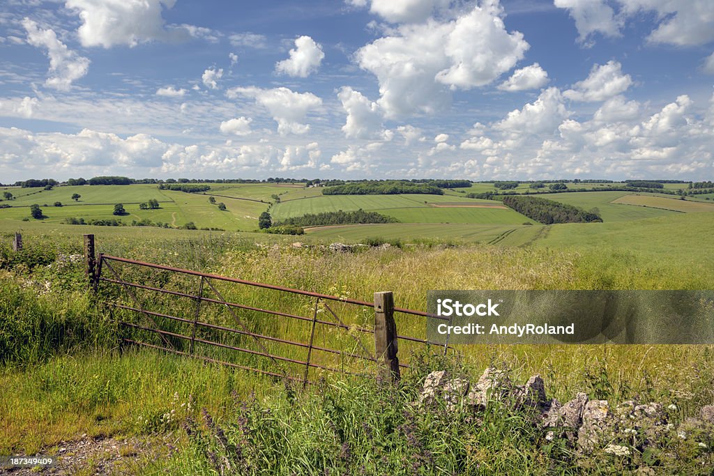 Cotswold downs Rolling downs landscape with farm gate, Cotswolds, England. Agricultural Field Stock Photo