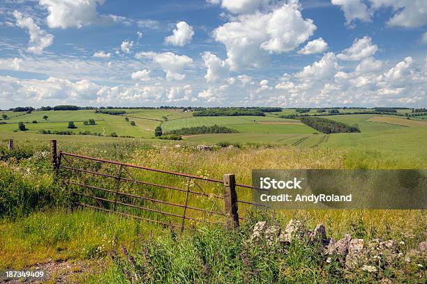 Cotswold Downs Stock Photo - Download Image Now - Agricultural Field, Agriculture, Cotswolds