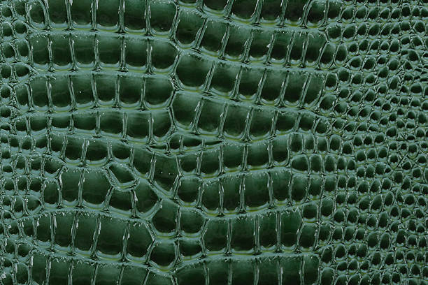 Close up macro detail of a faux green snakeskin or reptile
