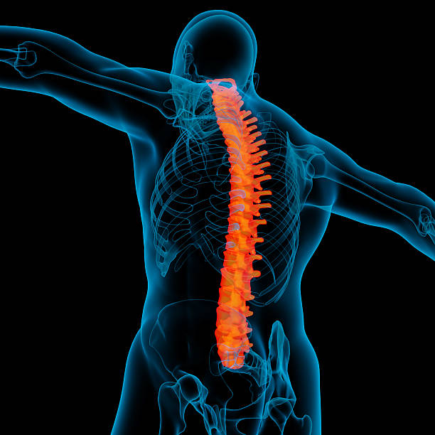 istock Skeleton of the man 187349762