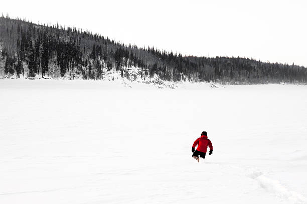istock Hiker in Alaska Winter 187350079