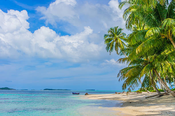 istock Desert islands in the Indian Ocean 187350483