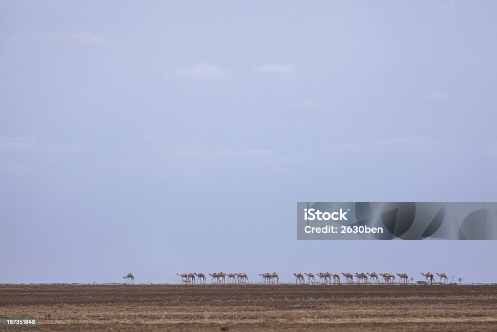 Camels cross um Deserto de Vaga de calor - Royalty-free Andar Foto de stock
