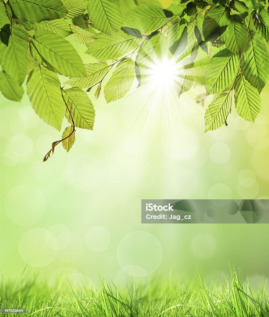 Natural Background Stock Photo - Download Image Now - Environmental  Conservation, Vertical, Backgrounds - iStock