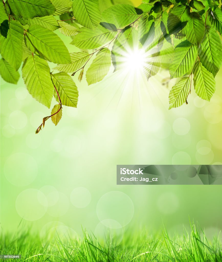 Natural Background Stock Photo - Download Image Now - Environmental Conservation, Vertical, Backgrounds - iStock Natural Background Stock Photo - Download Image Now - Environmental Conservation, Vertical, Backgrounds - iStock