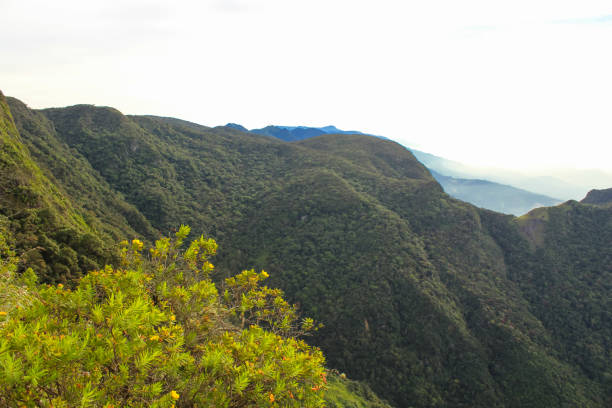 istock Panoramic View From Worlds End In Horton Plains National Park, Sri Lanka 1873528302