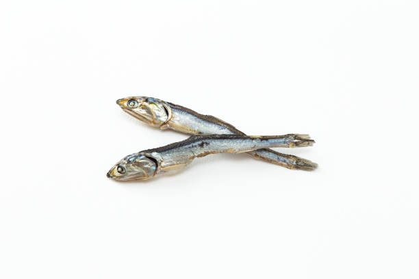 Dried sardines on a white background.
