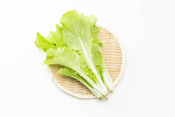 istock Shandong vegetables on a white background. 1873545915