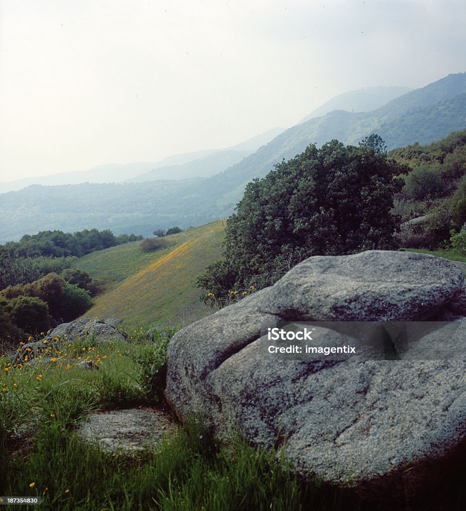 boulder i pofałdowanych wzgórz - Zbiór zdjęć royalty-free (Aparat średnioformatowy)
