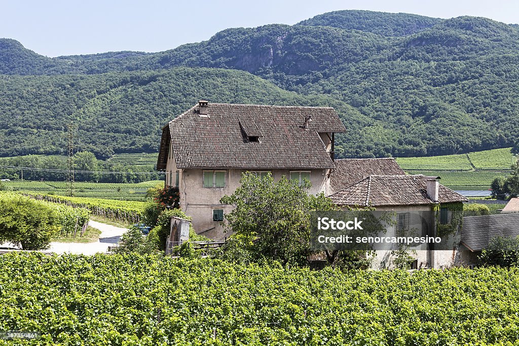 Vineyard estate Vineyard estate amidst of expanded vineyards near the Kalterer See in South Tyrol (Italy). Agriculture Stock Photo