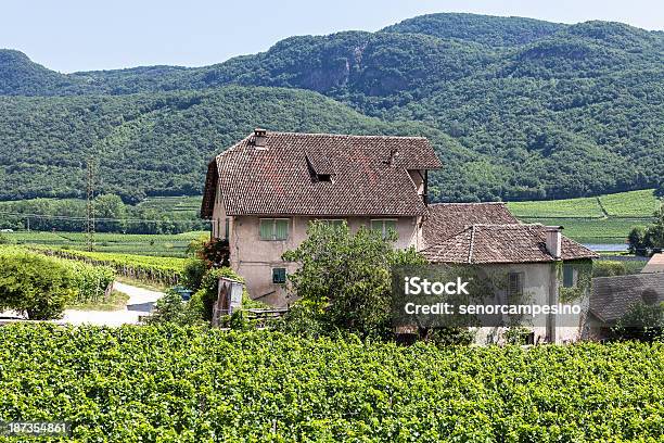 Vineyard Estate Stock Photo - Download Image Now - Agriculture, Alto Adige - Italy, Architecture